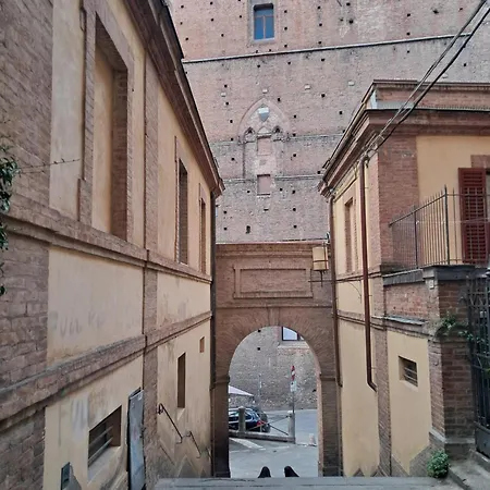 密涅瓦酒店 酒店 3*