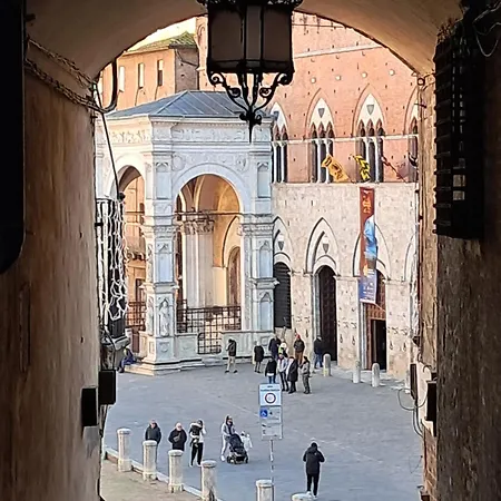 密涅瓦酒店 酒店