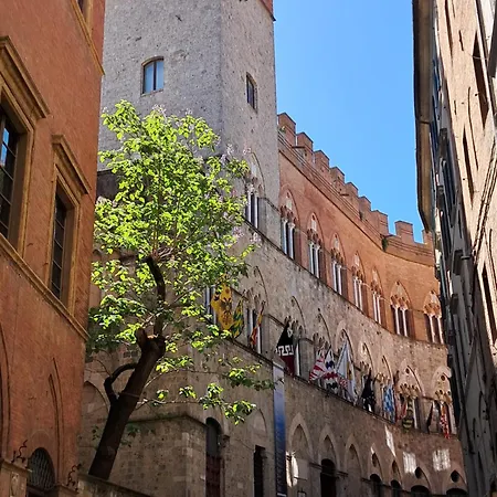 Minerva Siena