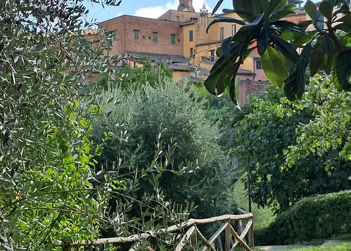 Minerva Отель 3*