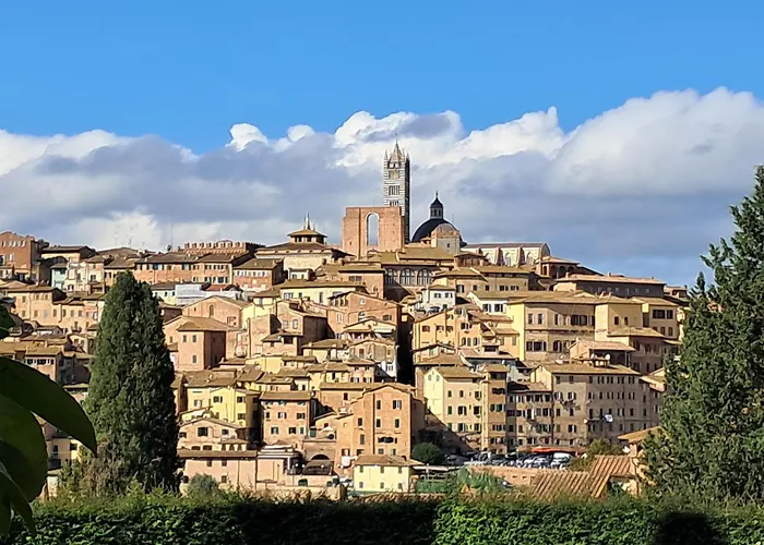 Отель Minerva Сиена