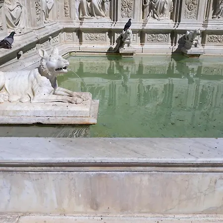 Minerva Siena