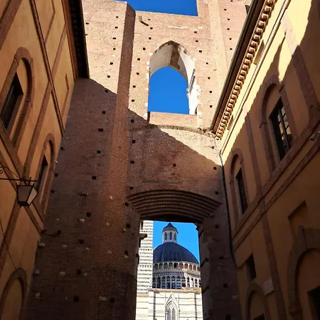 منيرفا 3*