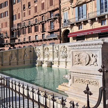 Hotel Minerva 3*